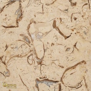 ископаемый маррон мрамор- Фоссил мрамор- Иранский мрамор - Бежевый мрамор - Кремовый мрамор - Персидский бежевый мрамор